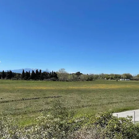 Apartment 2 Pieces A Argeles-sur-mer, 300m De La Plage, Terrasse, Parking, Animaux Acceptes - Fr-1-225-771
